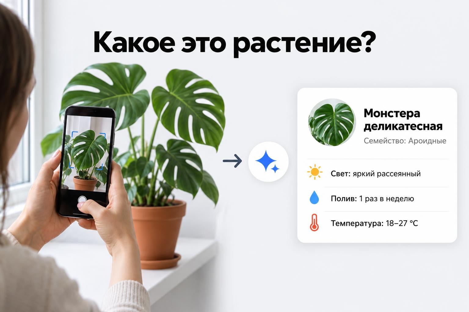 Определим растение по фото онлайн бесплатно от Facee